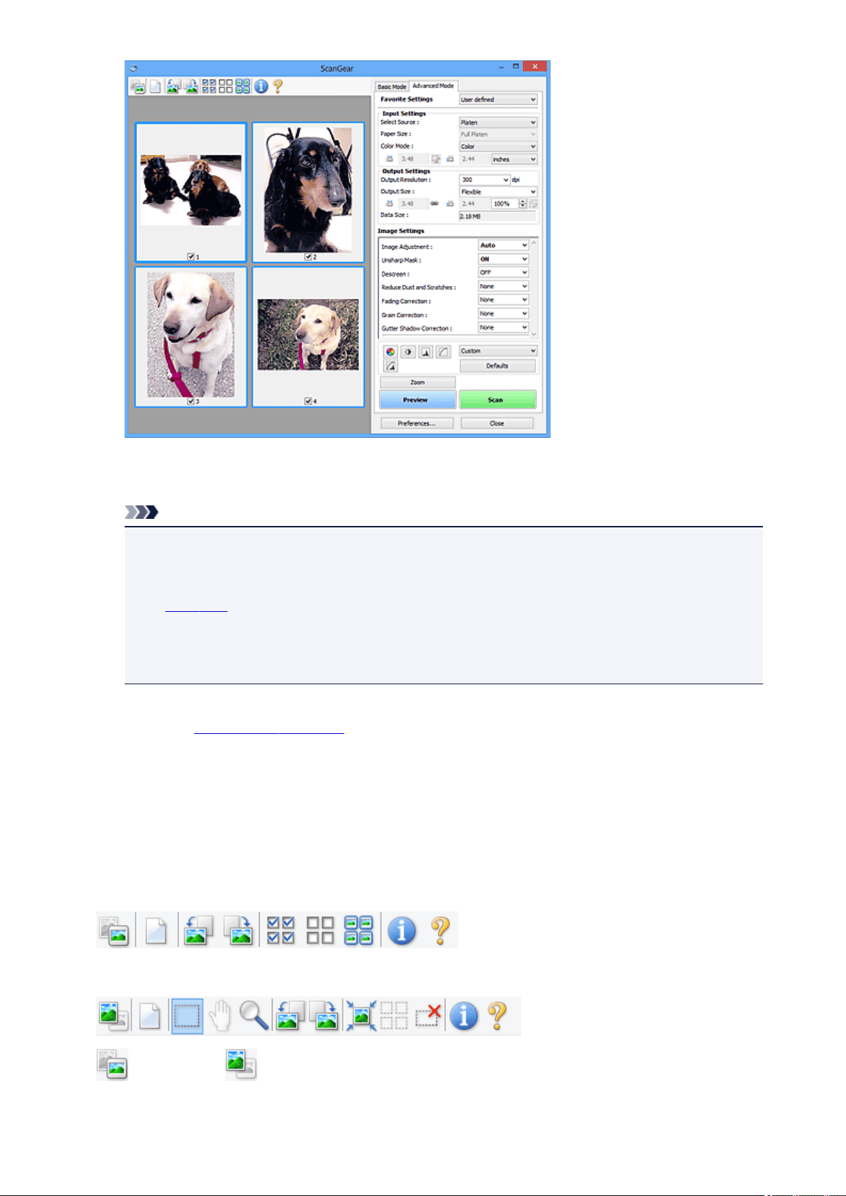 background
