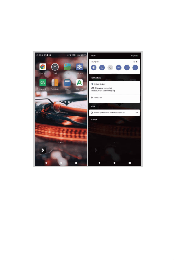 background