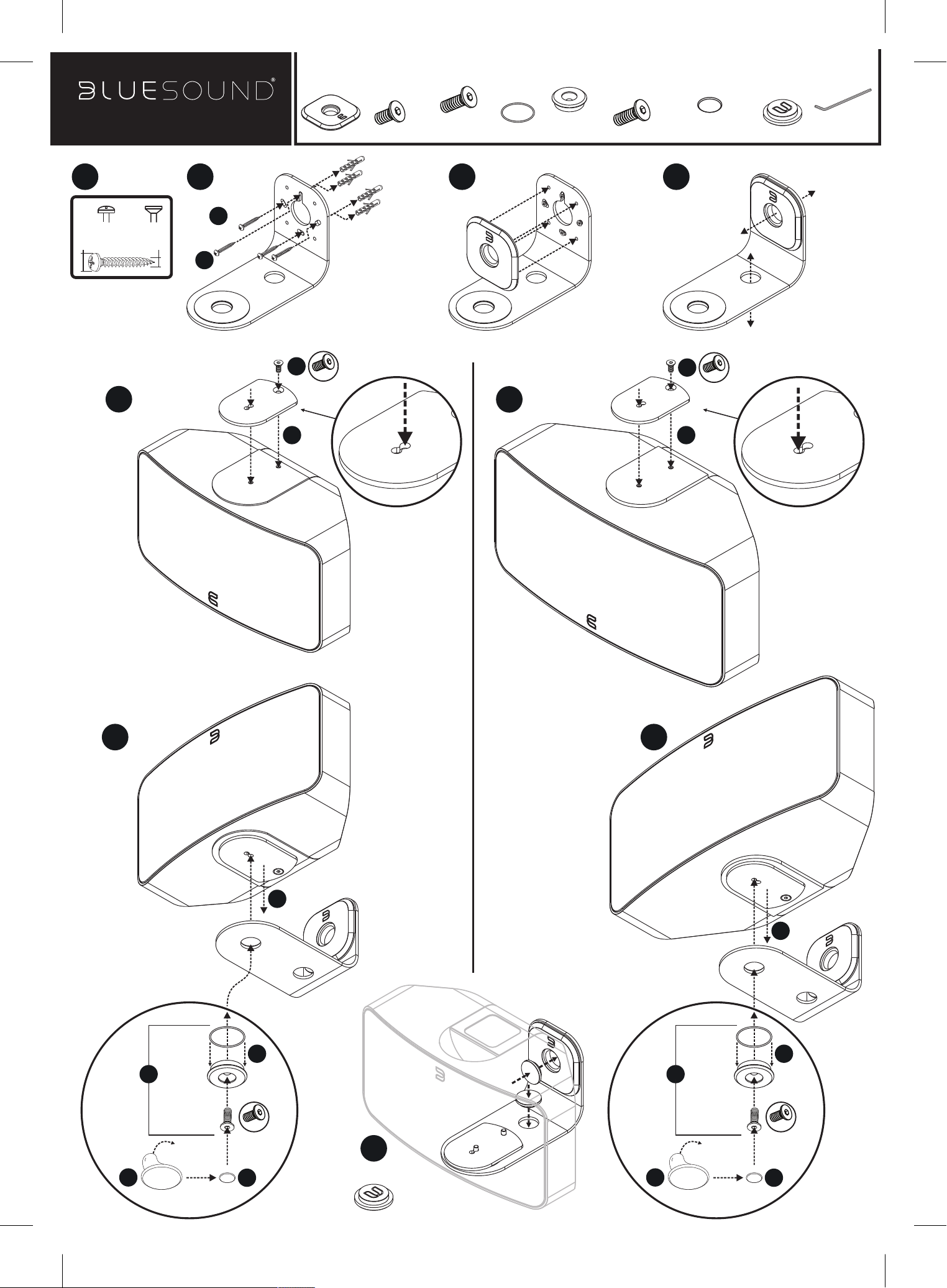 User Manual Bluesound PULSE SUPPORT DE MONTAGE MURAL 1 pages manualsFile