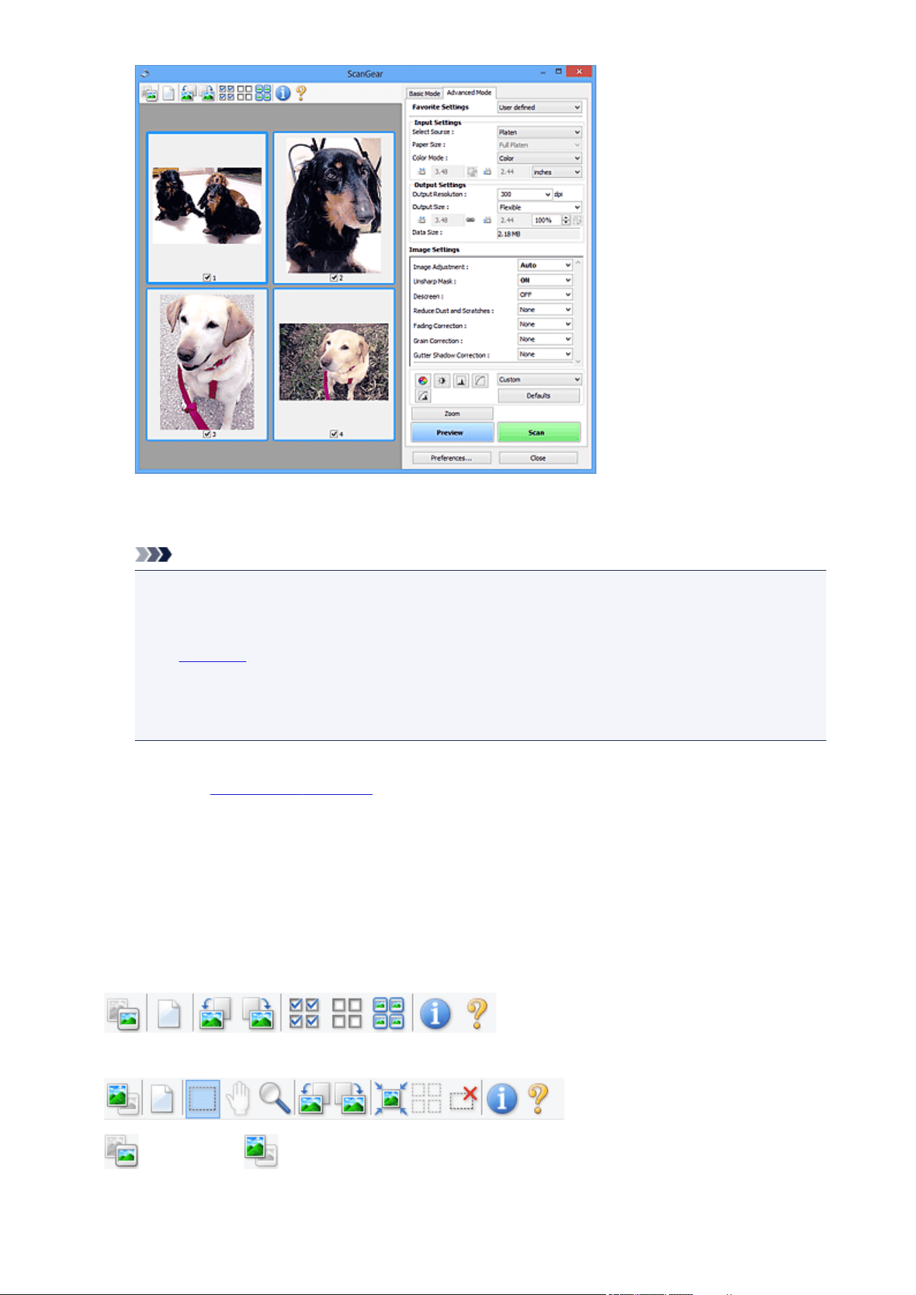 background