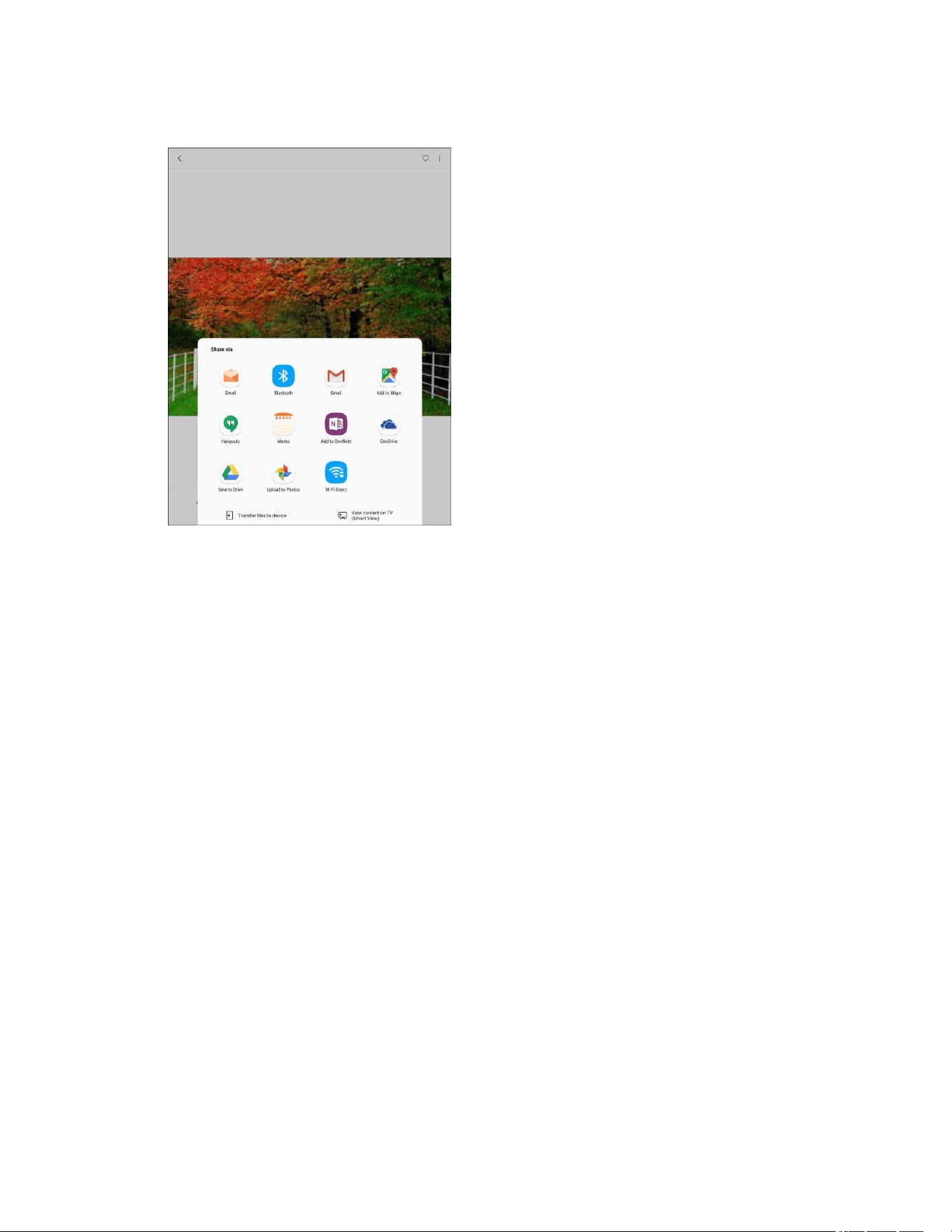 background